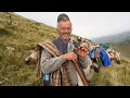 Download Lagu Coborâtul oilor din munții Retezat | 700 de oi luate de VISCOL | Cu oile peste vf. Godeanu - Ep.4