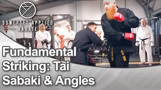 fundamental striking tai sabaki u0026 angles