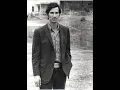 Townes Van Zandt Quicksilver Daydreams of Maria