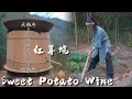 Download Lagu Brewing: Sweet Potatoes from Seedlings to Jugs of Wine