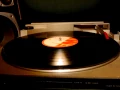 Los Pericos - Me Late [Vinilo]