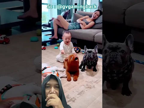 Anjing pintar akting #funny #dubbing