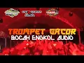 Download Lagu TROMPET GACOR🎺🎺 ( BOCAH ENGKOL AUDIO) 🔥🔥