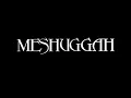 Meshuggah - Future Breed Machine (Zardonic Remix)