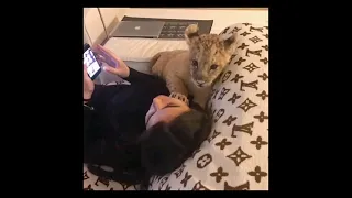 مكتوبه ليك  اليسا               دندنها