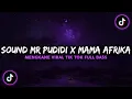 Download Lagu SOUND MR PUDIDI X MAMA AFRIKA VIRAL TIK TOK TERBARU 2022