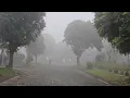 Puncak-Puncak Resort-light rain and fog بونشاك-بونشاك ريزورت-أمطار خفيفة وضباب