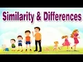Similarity and Differences Educational s For Kids