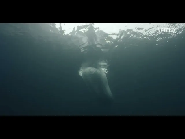 Untamed | Teaser Trailer