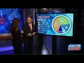 Natalie s DNA reveal