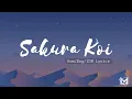 Download Lagu 桜恋 Sakura Koi - Mosawo // Cover by Misaki (みさき) • ROM/ENG/IDN Lyrics
