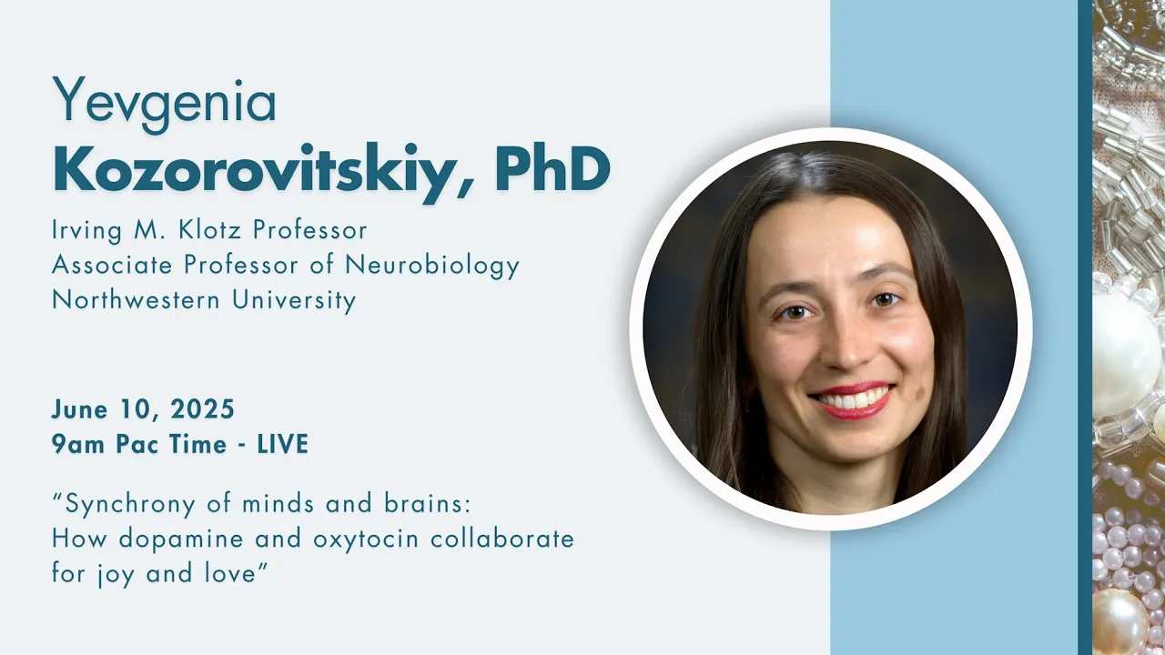 Synchrony of minds and brains: How dopamine & oxytocin collaborate for joy and love (Kozorovitskiy)
