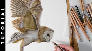 TUTORIAL How To Draw A Barn Owl In Colored Pencil