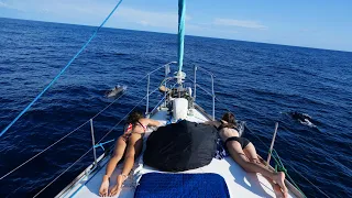 Sailing to Costa Rica Real Raw and unfiltered