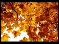 "Falling Slowly" from Once (duet with lanquery)