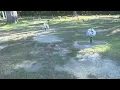 Kinston residents not happy with condition of local cemetery