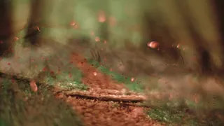 فمان الجرح   عبدالمجيد عبدالله    جلسة دندنها