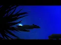 Robert Plant Big Log Music Video HD (4K)