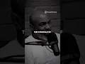 Download Lagu Mike Tyson On \