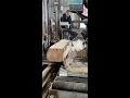 delicious street food