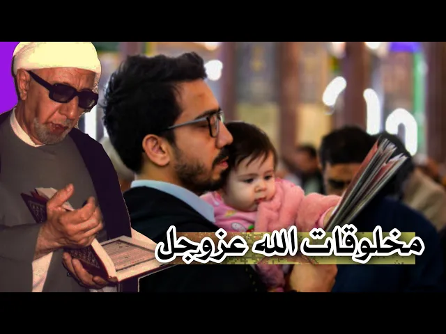 اجمل بحث لعميد المنبر الحسيني (د.الشيخ احمد الوائلي) عن خلق الله عزوجل ♥️