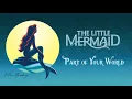 Download Lagu Part of Your World - Instrumental (with lyrics)