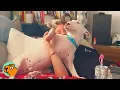 Rescued Bull Terrier Will Leave Anyone When Dad Comes Home Cuddle Buddies