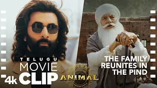 animal telugu scene 10 the family reunites in the pind ranbir k sandeep v bhushan k