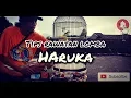 Lagu Tips rawatan juara lovebird Haruka