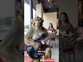 Download Lagu Monyet viral main gitar di cafe #monetization #Cak Is AE