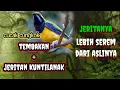 Download Lagu MASTERAN TEMBAKAN  AMPUH + (jeritan kuntilanak)@ lembah kicau