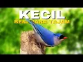 Download Lagu Jejak Perburuan \