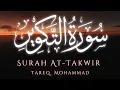 Download Lagu Surah At-Takwir by Tareq Mohammad | Powerful Quran Recitation | سورة التكوير