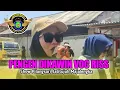 Download Lagu Pengen Dikawin Voc Riss ll Singa Dangdut SATRIA MUDA Desa Pilangsari Jatitujuh 21 September 2025