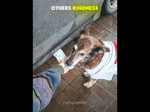 Others Kindness VS This Hero 🥺❤️‍🩹