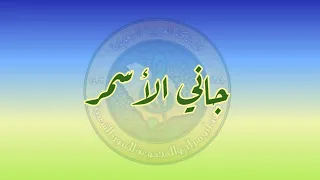 جاني الاسمر تسجيل خاص   فرقة ابو سراج  فنون شعبية دندنها