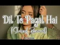 Dil To Pagal Hai_[Slowed + Reverb] Lofi Remix Song|~‎@sjlofireverb