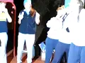 kakadu song