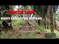 Download Lagu KACER PIKAT GACOR||KACER LIAR DI JAMIN LANGSUNG DATANG