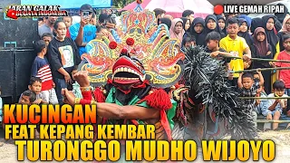 barongan kucingan feat kepang kembar jaranan turonggo mudho wijoyo live gemah ripah
