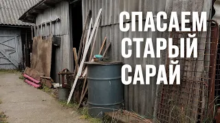 ВСЕ ГОВОРЯТ, ЧТО ЕГО ПРОЩЕ СНЕСТИ! НО Я РЕШИЛА ЕГО СПАСТИ🔥