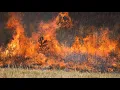 Researchers at SwRI say new wildfire tool can detect incidents 30 days in advance