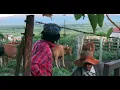 Download Lagu Re Khutxitxe (Official Music Video)[Makoti Ka Lapeng]