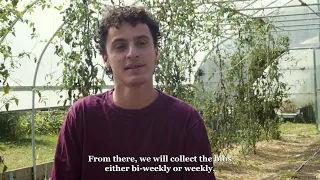 CONNposting