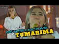 Download Lagu TUMARIMA [ IINK KURNIA ] - PIPIT SAPITRI X SULTAN MUSIC Live COVER SULTAN MUSIC