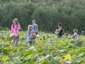 Creativity meets this Illinois pumpkin patch
