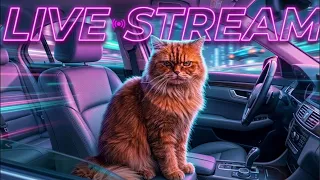 Ultimate Live streaming Cat Cuteness Overload💖😱 #live #livestream #shorts