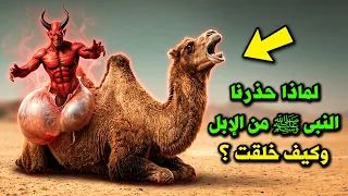لماذا خلق الله الإبل من الشياطين ؟ ولماذا امرنا النبي ﷺ بالوضوء بعد أكلها ؟ وماذا تفعل الإبل ليلاً ؟