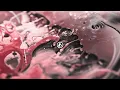 Download Lagu Linkin Park / FROM ZERO - Papercut (with Resolution Intro A)