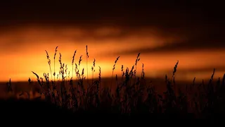 Killswitch Engage - When Darkness Falls